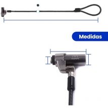 Ewent - Cable de seguridad para portatil - llave 1.8m