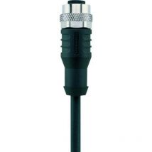 Câble M12 pour capteurs/actionneurs Automation Line Escha AL-WAK4.5-5/S370 8043824 Pôle: 5 Contenu: 1 pc(s)