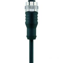 Câble M12 pour capteurs/actionneurs Automation Line Escha AL-WAK8-5/S370 8046904 Pôle: 8 Contenu: 1 pc(s)