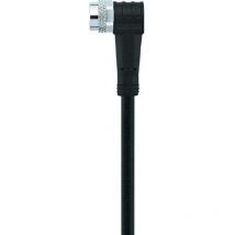 Câble M8 pour capteurs/actionneurs Automation Line Escha AL-SWKP3-5/S370 8043752 Pôle: 3 Contenu: 1 pc(s)