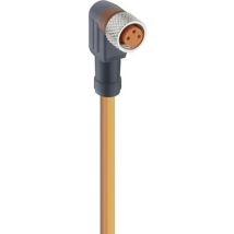 Connecteur confectionné pour capteurs/actionneurs M8 Lumberg Automation rkmwv/led a 3-06/2 m 11336-1 femelle, coudé 2.0