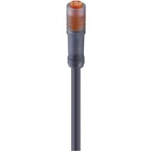 Connecteur confectionné pour capteurs/actionneurs M8 Lumberg Automation rkm 4-225/2 m 44584-1 femelle, droit 2.00 m Nom