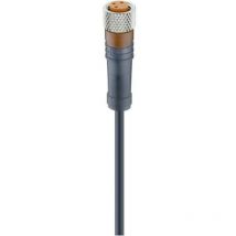 Lumberg Automation - Câble de raccordement capteur/actionneur, M8 femelle, droit rkmv 3-224/2 m 17852-1 Contenu: 1 pc(s)
