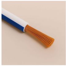 Errebi Group - Câble métallique unipolaire flry-b iso 6722 classe b Sec. 0,35 mm2 Blanc/Bleu
