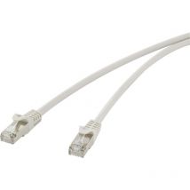 Renkforce - RF-4724274 RJ45 Câble réseau, câble patch cat 5e f/utp 1.00 m gris avec cliquet d'encastrement 1 pc(s) Y859242