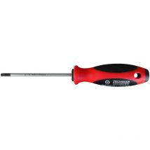 Cacciavite Torx Tamper tt 25 Techman