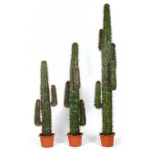 Cactus Artificiale Mexico - 230