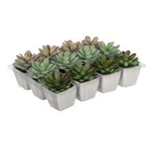 Cactus en maceta varios modelos 8.5cm