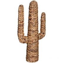 Atmosphera Créateur D'intérieur - Cactus Hacienda jacinthe d eau H75cm