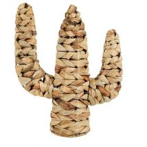 Cactus rotin naturel