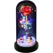 Decdeal - Cadeaux de fleurs roses pour femmes, roses lumineuses dans un dôme en acrylique, cadeaux pour maman, fleur éternelle colorée, cadeaux pour