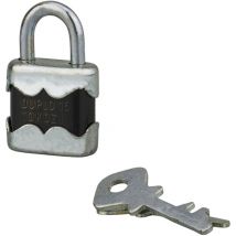 Cadenas à clé AUTO22, 15mm, anse acier zingué, 2 clés