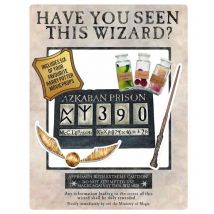 Star Cutouts - Figurine en carton Cadre à selfie Harry Potter Azkaban - blanc 87x70 cm