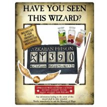 Star Cutouts - Figurine en carton Cadre à selfie Harry Potter d'Azkaban Hauteur 87 Largeur 70 cm