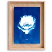 Swabdesign - Cadre Carpë cyanotype Pavot 40x30cm Bleu