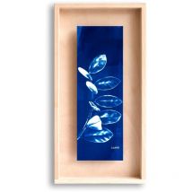 Cadre Carpë cyanotype ZZ plante 40x20cm Swabdesign Bleu