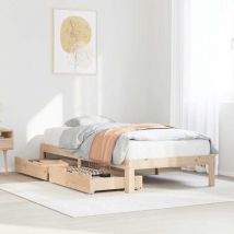 Cadre de lit avec tiroirs sans matelas 90x190 cm Vidaxl