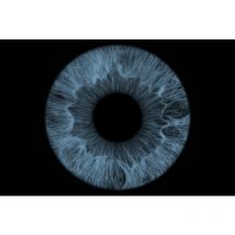 Dare Win Store - Cadre décoratif mural iris 50x50 cm