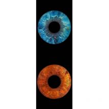 Dare Win Store - Cadre décoratif mural iris 100x50 cm