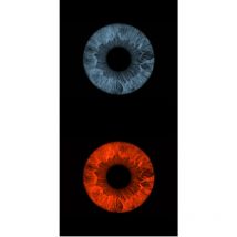 Dare Win Store - Cadre décoratif mural iris 100x50 cm