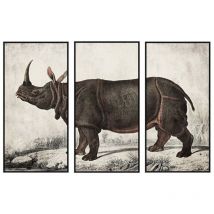 Dkd Home Decor - Peinture rhinocéros colonial (180 x 4 x 120 cm)