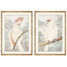 Dkd Home Decor - Tableau perroquet tropical 50 x 3 x 70 cm (2 pièces)