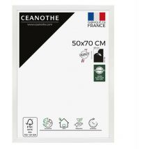 Ceanothe - Cadre Photo Blanc 50x70 cm et 70x50 cm - Convient au A2 et Affiche Poster – Cadre pour Photo 50x70 cm, Affiche ou Poster - Cadre Photo