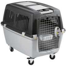 Box de transport - kerbl - Gulliver Mega - 81 x 61 x 60 cm - Gris
