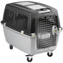 Box de transport - kerbl - Gulliver Mega - 70 x 50 x 51 cm - Gris