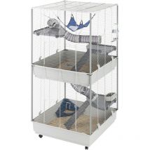 Ferplast - furet tower Cage pour fûrets 2 niveaux. Variante furet tower - Misure: 75 x 80 x h 161 cm -