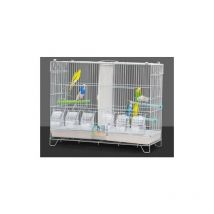 Cage Oiseau Cage d'elevage avec système de Porte Guillotine Cage 602639.5cm pour Perruches Pinsons Cockatiels Conures Inséparables Canaris Perroquets