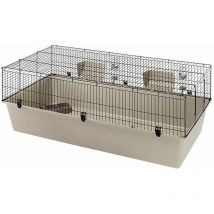 Ferplast RABBIT 160 Cage de grandes dimensions pour plusieurs lapins. Variante RABBIT 160 - Misure: 156.5 x 77 x h 61.5 cm -