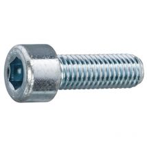 Schachtel mit 200 verzinkten Inbusschrauben M6x50mm 8.8 din 912