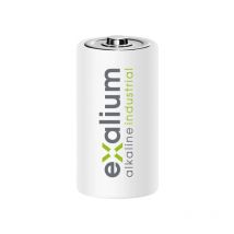 Exalium - Caja de 12 pilas alcalinas LR20 d 1.5V