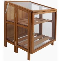 Esschert Design - Invernadero de madera dura pequeño GT32