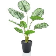 Calathea Orbifolia Artificiale 45 cm in Vaso - Emerald