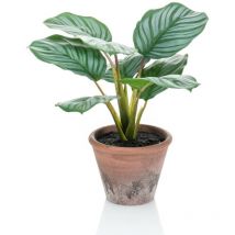 Emerald - Calathea Orbifolia artificiel Terra 32 cm en pot