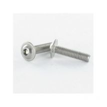 Vis métaux bhc (Tête Bombée Hexagonal creux) Embase collerette M6X12 Clé de 4 HC4 Inox A2-1 piece