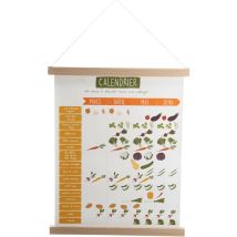 Amadeus - Calendario di semina speciale Kakemono 24 x 50 cm