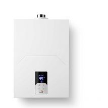 Cointra - Calentador Estanco Ceti 12 Litros Butano Low Nox