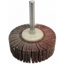 Calflex - RV4020/6.220 - Meules fraisées avec tige rv (ø ext. 40 mm, épaisseur 20 mm, tige 6 mm, grain 220)