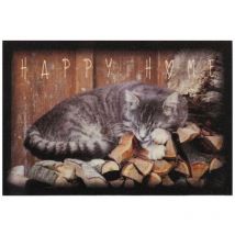 Calicosy - Tapis d'entrée chat - L60 x l40 cm