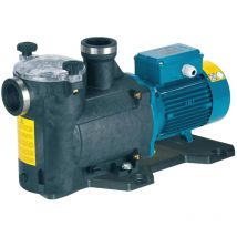 Calpeda - Pompe De Piscine Autoamorçante Mpcm11 230v - 0.37kw - 6m3/h