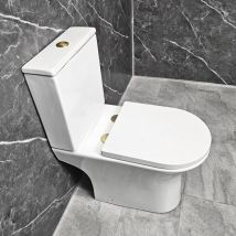 Cam Comfort Height Toilet Rimless with Brass Flush Button & Hinges Open Back