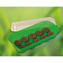 Cámara de efecto invernadero con 10 espacio,26x11x7cm,verde