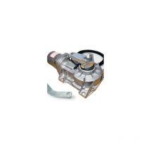 Came - Frog ae 230V Gate Motor