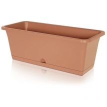 Prosperplast - Pot camelia 15,5L, dimensions (mm) 508x188x173, couleur Terracotta - Terre cuite