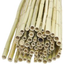 Jardindeco - Canisse en bambou Lot de 3