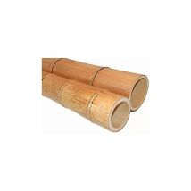 Canna di Bamboo Gigante h. 150 ø 4/6 cm moso Canne di Bambù per Arredamento