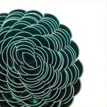 Canniccio Arella Singola 200X300cm Verde pvc pla ca recinzioni giardino - STI